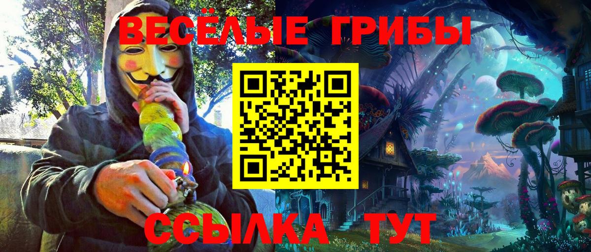 Галлюциногенные грибы GOLDEN TEACHER  Вход с VPN  Южно-Сахалинск 