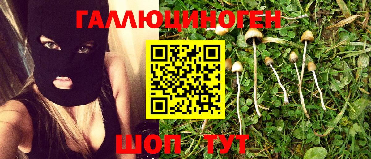 Псилоцибиновые грибы Cubensis Южно-Сахалинск